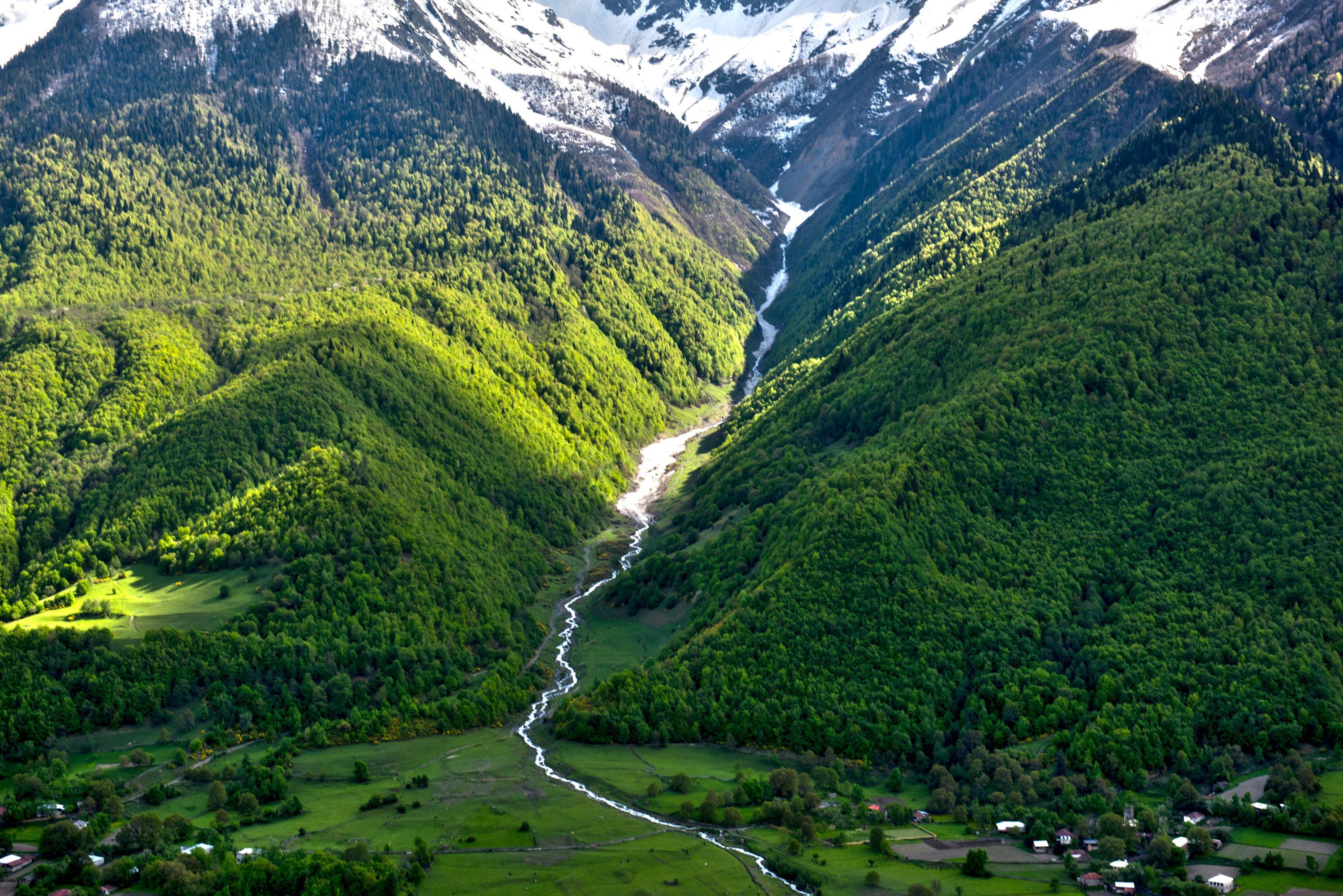 Cheap Flights to Georgia from 293 KAYAK