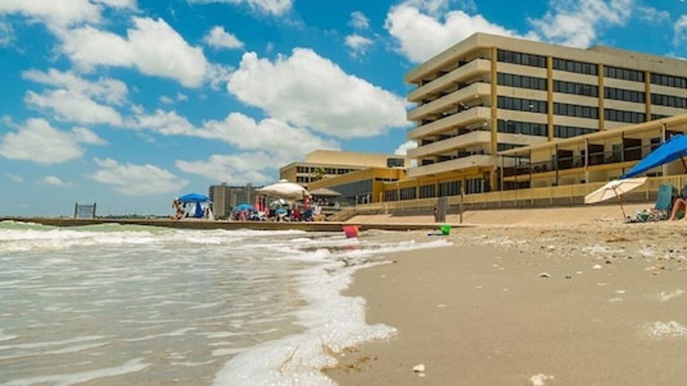 are dogs allowed on corpus christi beaches